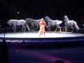 Horses Circus 21 June 2012