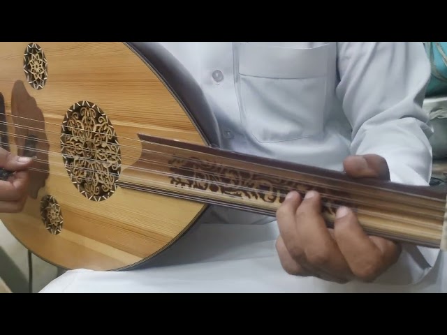 عود موسيقي احترافي كهربائي فاخر