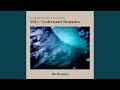 Corals Under The Sun Remix