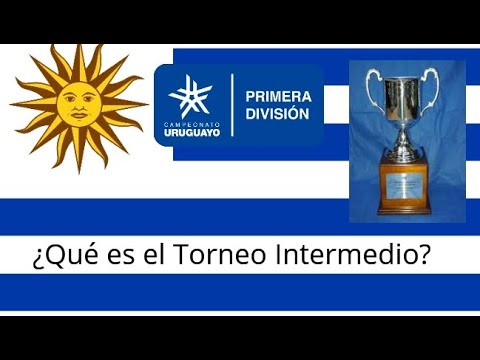 ¿Cómo se disputa el Torneo Intermedio?