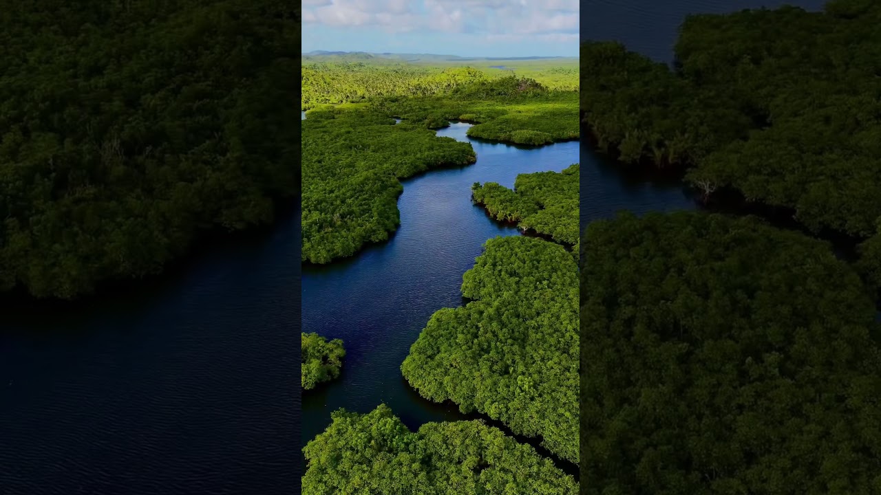 YouTube Short thumbnail