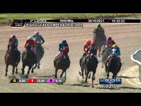 211030 c02 PROFETICO