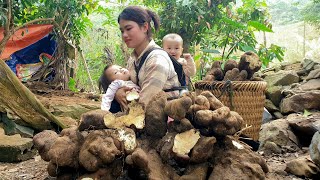 Harvesting Yams to sell at the market - Taking care of pets & Cooking with two children