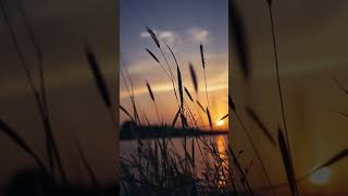 Download lagu story wa||tak ingin usai-keiysalevronka #storywa #storywa30detik #story #takinginusailirik mp3