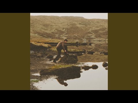 Roses - BEINIR
