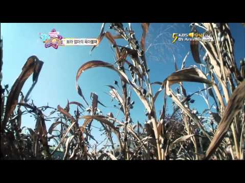 [HD] 111103 Hello Baby S4 - Ep 10 P3