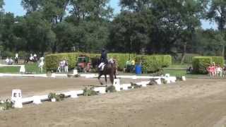 Video of For Comtess Royal NG