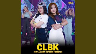 Download lagu CLBK 'Cinta Lama Bersemi Kembali' mp3