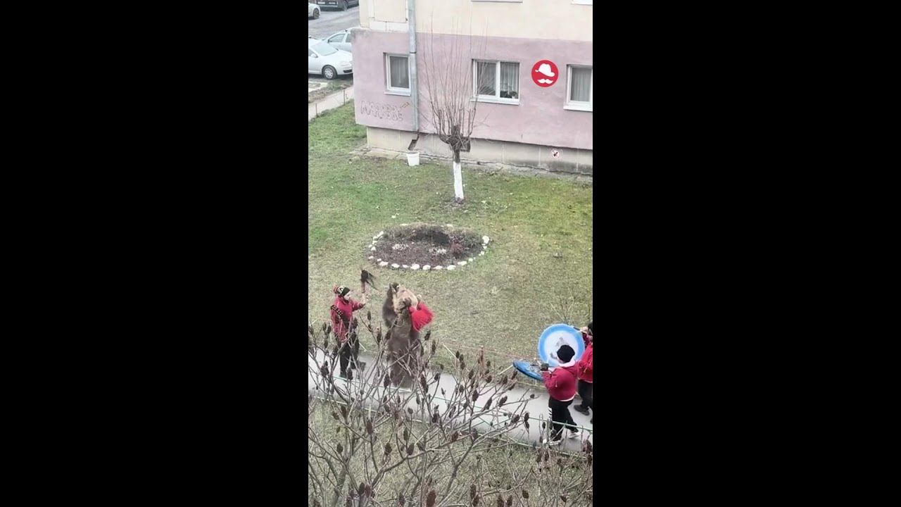 Tömbházak csendjét megzavaró téli rituálé: medvebőrbe bújt dobosok tánca