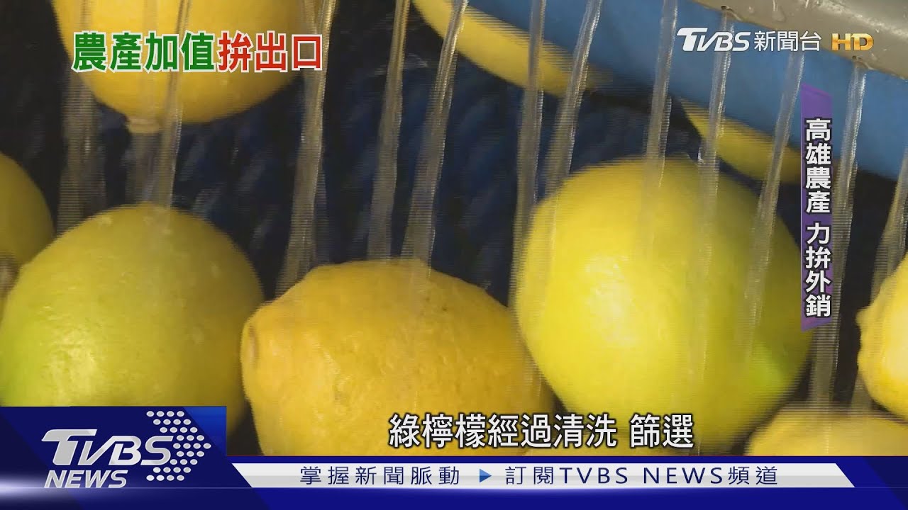 高雄農業拚外銷! 農青盼組「農產國家隊」