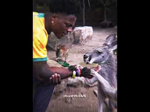 No Chance Against A Kangaroo💀 #ishowspeed #kangaroo #edit