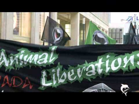 Fidl Kunterbunt - 07 - Vom Burg'n baun