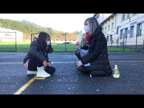 Lehen Hezkuntza San Viator Sopuerta