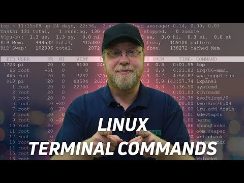 Introduction to Linux and Basic Linux Commands for Beginners