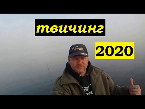 Твичинг в тумане!!! (2020)
