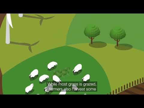 The Farming Circle of Life: Healthy Grasslands