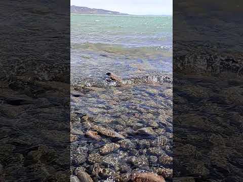 lago muster sarmiento Chubut