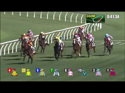 17/3/2021 (514) Harmony And Rich - Matthew Chadwick