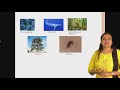 CBSE 9 STATE 9 SCIENCE DIVERSITY IN LIVING ORGANISMS PART 1