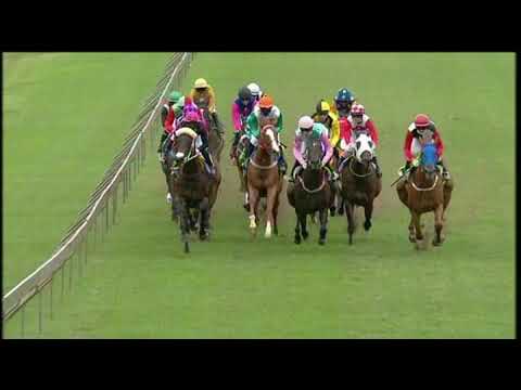 20210221 Hollywoodbets Scottsville express clip Race 4 won by ABBEY WOOD