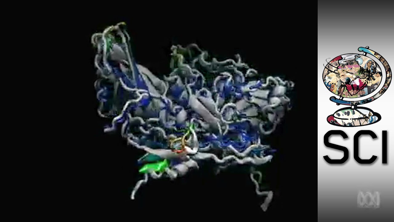 Curing Viruses With 3D Computer Simulations