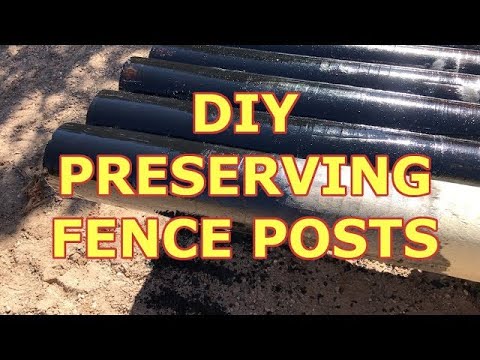 A Cheap and Easy Secret THEY don't want you to know about to preserve wood