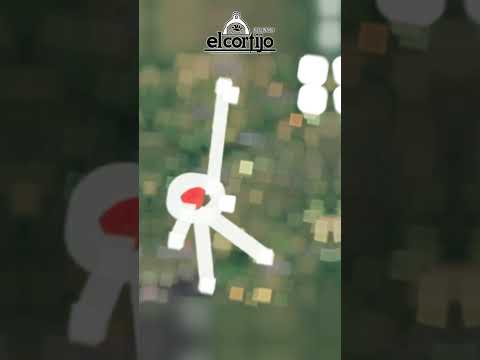 EL CORTIJO, 823 M2 , 15,47 X 54,28. MEDIA CUADRA A 2 KM DE LA RUTA SAN BERNARDINO - YPACARAÍ