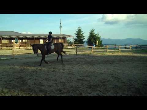 Horse Riding in Italy: Umbria