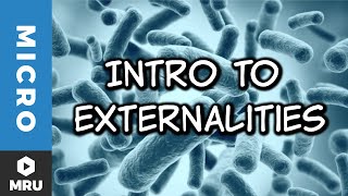 An Introduction to Externalities
