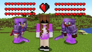 How I Took Over An SMP With Half A Heart...