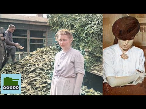 The Execution Of Jenny Barkmann - The Female Spectre Of Stutthof