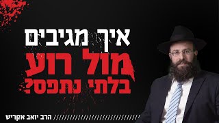 איך מגיבים מול רוע בלתי נתפס? | פרשת נח (הרב יואב אקריש) - התמונה מוצגת ישירות מתוך אתר האינטרנט יוטיוב. זכויות היוצרים בתמונה שייכות ליוצרה. קישור קרדיט למקור התוכן נמצא בתוך דף הסרטון