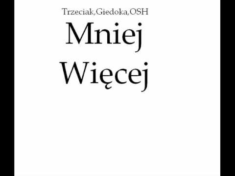 Trzeciak 2 Odsłona projektu ( Mniej Więcej Bonus track)(Muzyka ANS)