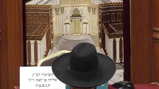 שידור חי -  הרב אמנון לוי - פלא יועץ חיזוק באמונה ובשעה 20:15 פרשת שבוע עם הרב חיים הניק