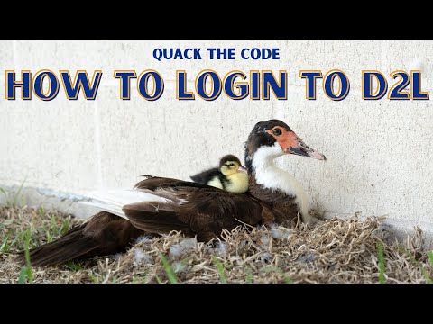 Ung D2l Login
