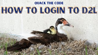 How to login to D2L