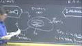 Lec 29 | MIT 7.013 Introductory Biology