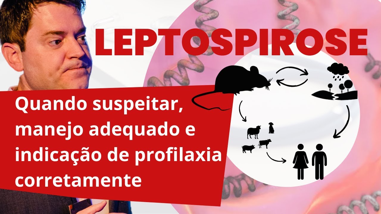 LEPTOSPIROSE: Quando suspeitar, manejo adequado e indicação de profilaxia corretamente