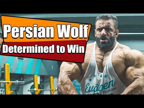 Hadi Choopan | The Persian Wolf is Hungry for Being Winner