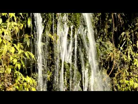 D800 動画テストシャッタースピード