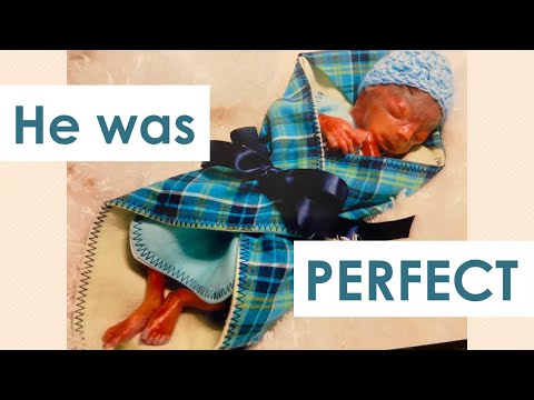 Jalen Jeremiah | A Father's Pandemic Stillbirth Story | Born Still at 20 Weeks
