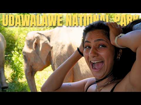 Udawalawe Wildlife Safari Video