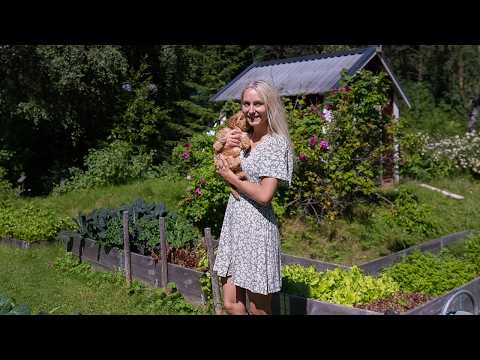 A Week Full of New Beginnings | Creating Alchemy & First Week with Lumi