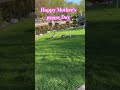 #Happy Mother’s Day ❤️# Mother goose 🪿 day