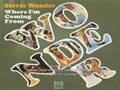 Stevie Wonder - Never Dreamed You'd Leave In Summer