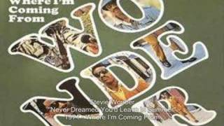 Stevie Wonder - Never Dreamed You&#39;d Leave In Summer