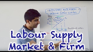 Labour Supply Curve (Market and Firm)