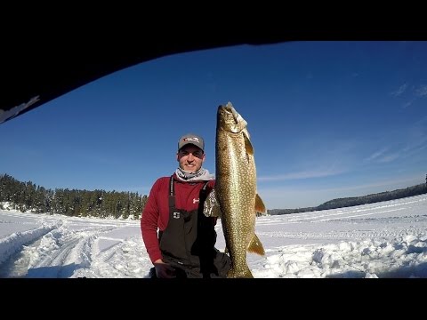 EPIC LAKE TROUT FISHING