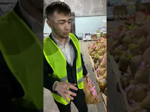 United Planet: Moldova Trip Instagram Stories