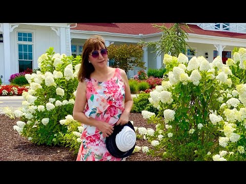 Nhớ tên em Sài Gòn - Vũ Quốc Việt